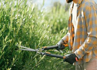 Undgå nabostridigheder