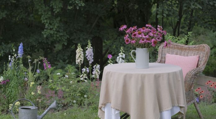 Sådan får du succes med sommerblomster i haven